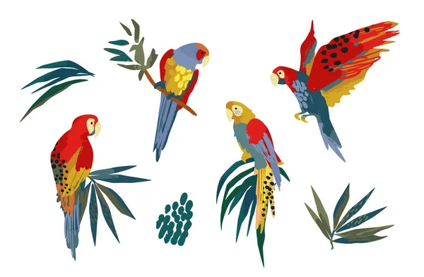 Illustrations vectorielles de perroquets et de feuilles tropicales. Clipart, éléments isolés. — Image vectorielle