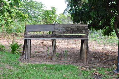 Eski ahşap bank, Brezilya, Güney Amerika 'da bir turizm sahasında tahrip tahtası, panoramik fotoğraf, ağaçlarla arka plan ve yeşil bitki örtüsü