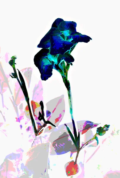 Sarı zambak çiçeğinin sanatsal grafik tasviri