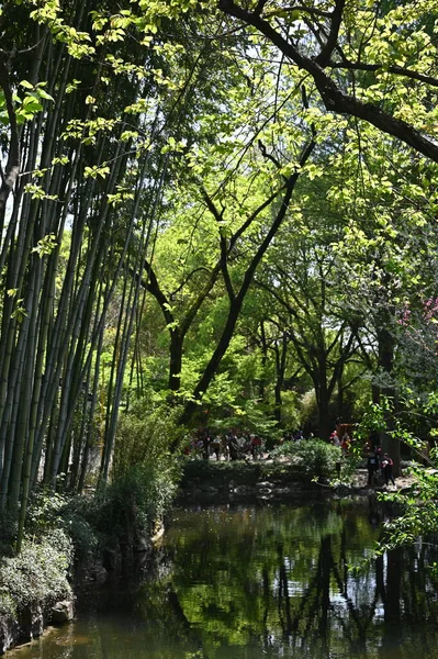 南阳古意 中国古典园林的探索 — 图库照片