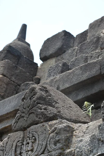 Exploring Famous Buddhist Temple Borobudur Hot Summer Day — Stock Photo, Image
