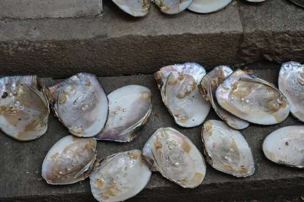 Selling mother of pearl shells on the street in Suzhou, China