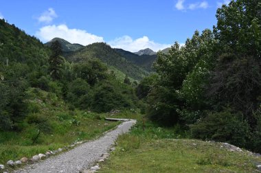 Explore the lush and wild vegetation of the forrest parks around Shangri-La in Yunnan province of China