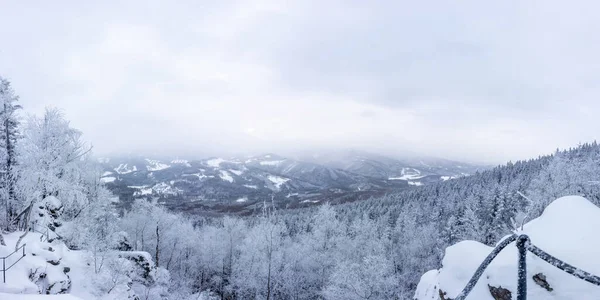 Jeseniky dağlarındaki karlı kışın panoramik manzarası Medvedi Kamen 'in bakış açısından — Stok fotoğraf