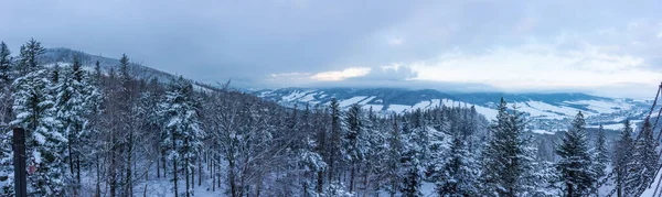 Çek Cumhuriyeti 'nin Jeseniky dağlarındaki Certovy kameny perspektifinden karla kaplı ağaçların ve dağların manzarası. — Stok fotoğraf