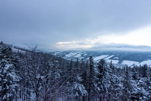 Vista de los árboles cubiertos de nieve y las montañas desde el mirador de Certovy kameny en las montañas Jeseniky en República Checa. —  Fotos de Stock