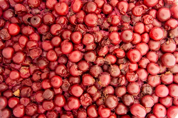 Fermenterade Körsbär För Beredning Spritdrycker Baserade Fruktalkohol — Stockfoto