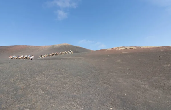 Timanfaya parkında deveye binen turistler Lanzarote, Kanarya Adaları, İspanya 'da arka planda El Curvo volkanı bulunuyor.