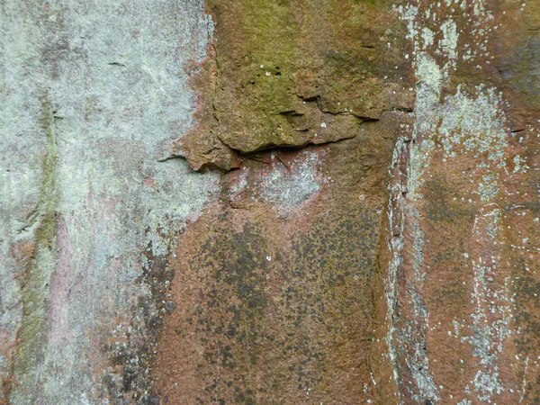Close Weathered Sandstone Rock Mosses Lichens Cracks Rock — Stock Photo, Image