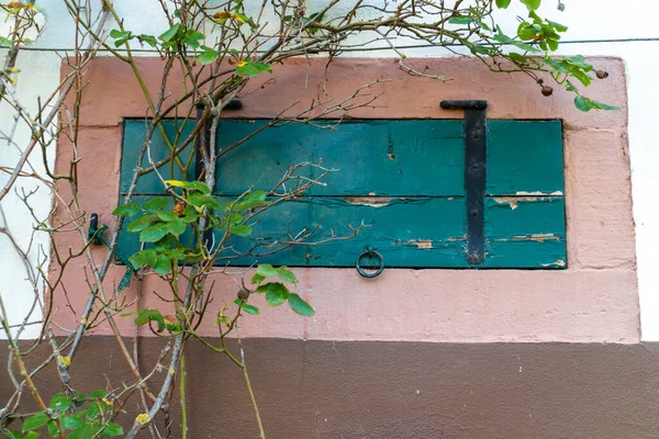 Old Wooden Shutter Painted Strong Green Front Cellar Window German — Zdjęcie stockowe
