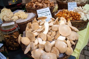 Neckargemuend, Almanya 25 Eylül 2022: Taze bitki mantarları (Pleurotus eryngii) ve sonbahar pazarındaki diğer mantar sepetleri