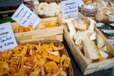 Neckargemuend, Almanya 25 Eylül 2022: Taze chanterelles (Cantharellus cibarius) ve Boletus (Boletus edulis) mantarları bir sonbahar pazarında sepetlerde