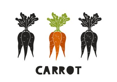 Havuç, siluet simgeleri harflerle ayarlanmış. Pul taklidi, sürtünme izleri. Bir demet kök sebze. Siyah şekil ve renk vektörü çizimi. Beyaz arkaplanda elle çizilmiş izole element