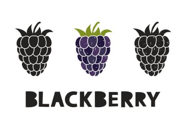 Blackberry, silhouette icons set with lettering. Imitation of stamp, print with scuffs. Simple black shape and color vector illustration. Hand drawn isolated elements on white background