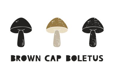 Brown cap boletus, silhouette icons set with lettering. Imitation of stamp, print with scuffs. Simple black shape and color vector illustration. Hand drawn isolated elements on white background
