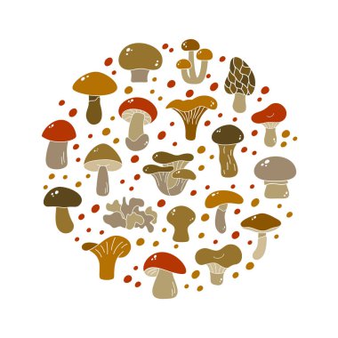 Çizgi film yenilebilir mantarlar, kahverengi yuvarlak çizimler. Renkli siluet elementleri. Champignon, chanterelle, boletus, porcini, russula, shiitake. Beyaz arkaplanda Contour vektör simgeleri