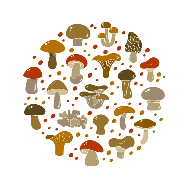 Cartoon Edible Mushrooms Brown Illustration Color Silhouette Elements Champignon Chanterelle — Stock Vector