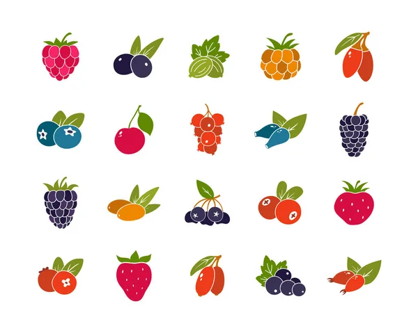 Berries Leaves Color Silhouette Icons Set Simple Vector Contour Blueberry — Stock Vector