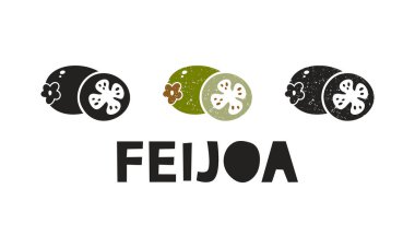 Feijoa, siluet simgeleri harflerle ayarlandı. Pul taklidi, sürtünme izleri. Basit siyah şekil ve renk vektörü çizimi. Beyaz arkaplanda elle çizilmiş izole ögeler