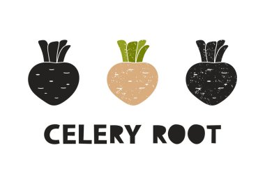 Kereviz kökü, siluet simgeleri harflerle ayarlanmış. Pul taklidi, sürtünme izleri. Basit siyah şekil ve renk vektörü çizimi. Beyaz arkaplanda elle çizilmiş izole ögeler