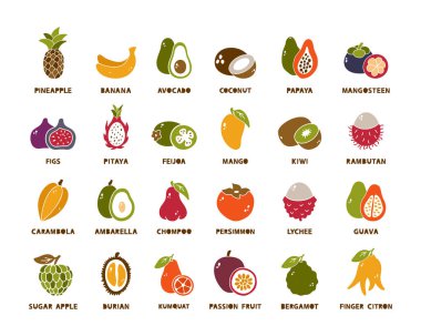 Egzotik ve tropikal meyveler, renkli siluet simgeleri. El çizimi ananas, muz, avokado, hindistan cevizi, papaya, mangosteen, incir, mango, pitaya, feijoa, liçi, guava, kivi