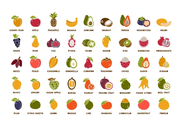 Κήπος Και Τροπικά Φρούτα Μεγάλη Συλλογή Σετ Εικονιδίων Χρωμάτων Σιλουέτας — Διανυσματικό Αρχείο