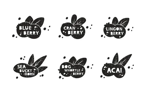 Berries Grunge Stickers Set Blueberry Cranberry Lingonberry Acai Sea Buckthorn — Stock Vector