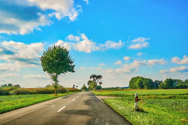 德国阳光明媚 蓝天乌云 一条绿树成荫的乡间小路穿过那里 — 图库照片