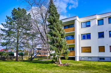 Şiddetli fırtınadan sonra kökünden sökülmüş ve eğri büğrü bir ağaç..