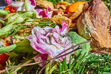 Geri dönüşüm için çeşitli organik atıkları olan bir biyo konteynıra bak.