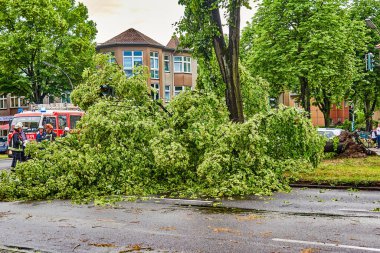 Berlin, Almanya - 12 Haziran 2019: Şiddetli bir fırtınadan sonra Almanya 'nın Berlin kentinde ana caddede bulunan köklerinden sökülmüş bir ağaç. Kurtarma ekipleri kaza mahallinde çalışıyor..