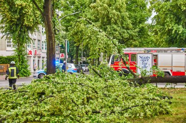 Berlin, Almanya - 12 Haziran 2019: Şiddetli bir fırtınadan sonra Almanya 'nın Berlin kentinde ana caddede bulunan köklerinden sökülmüş bir ağaç. Kurtarma ekipleri kaza mahallinde çalışıyor..