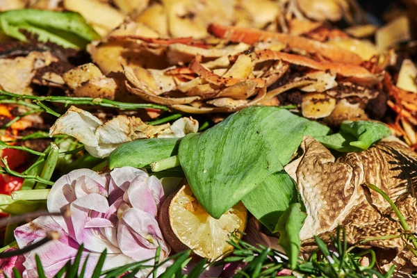 Geri dönüşüm için çeşitli organik atıkları olan bir biyo konteynıra bak.