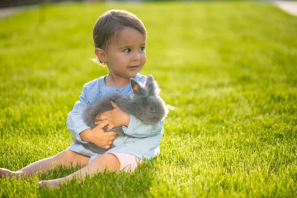 Pouco Bonito Menina Segurar Pouco Coelho Marrom Suas Mãos Enquanto — Fotografia de Stock