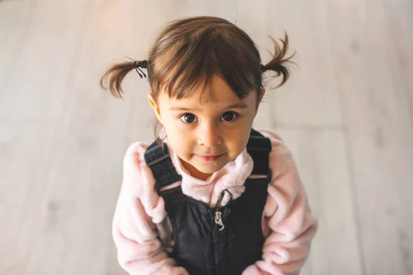 Portret Van Een Klein Mooi Meisje Met Schattige Staarten — Stockfoto