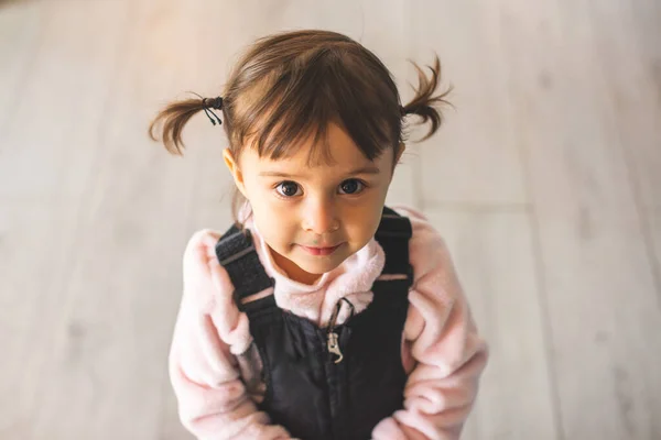 Portrait Une Petite Belle Fille Avec Des Nattes Mignonnes — Photo