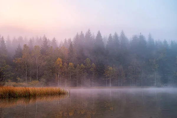 Осенний Пейзаж Горах Деревьями Отражающимися Воде Озере Аны Румыния — стоковое фото
