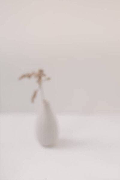 Бежевые сухие цветы в белой вазе. Белый стол.