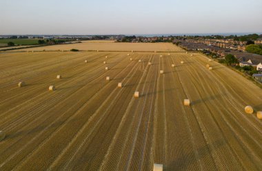 Aerial view of a freshly harvested wheat field in Felixstowe, Suffolk.