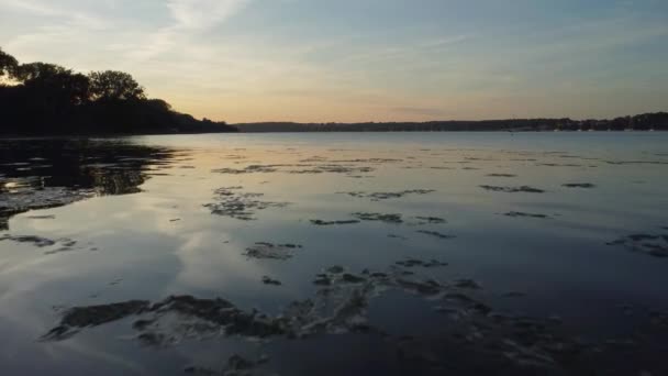 Vôo Baixo Volta Através Das Águas Ainda Refletoras Com Ervas — Vídeo de Stock