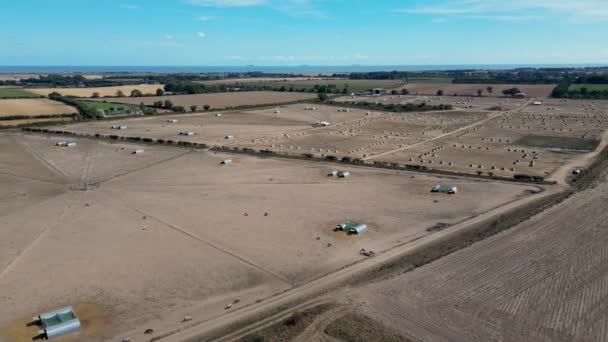 Aerial View Pig Farming Suffolk — Stock Video