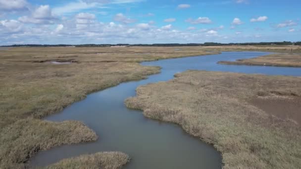 Lage Vlucht Interessante Rivieroever Moerasland — Stockvideo