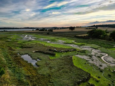 Dalgalar çekildiğinde doğa rezervi