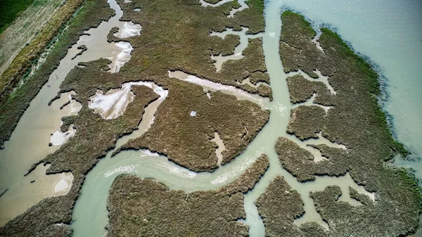 River channels carved into the mud flats of the river Deben