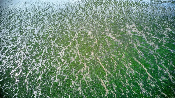 Beautiful Texture Natures Design Low Tide — Stock Photo, Image