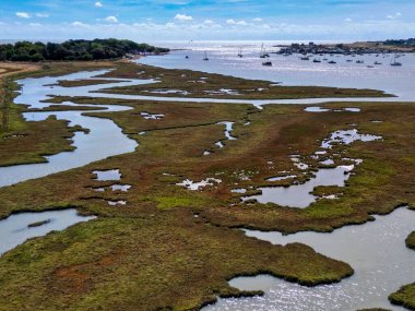Doğal nehir bataklığı vahşi yaşam için cennet