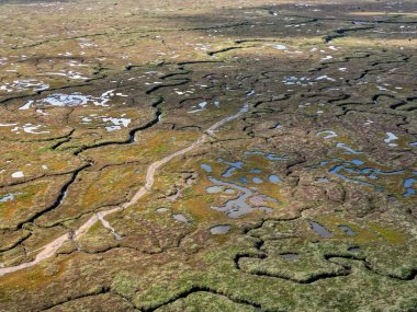 Norfolk sahili hava manzarasında tuzlu bataklık labirenti.