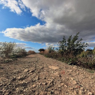 Suffolk 'taki Orwell Nehri patikası.