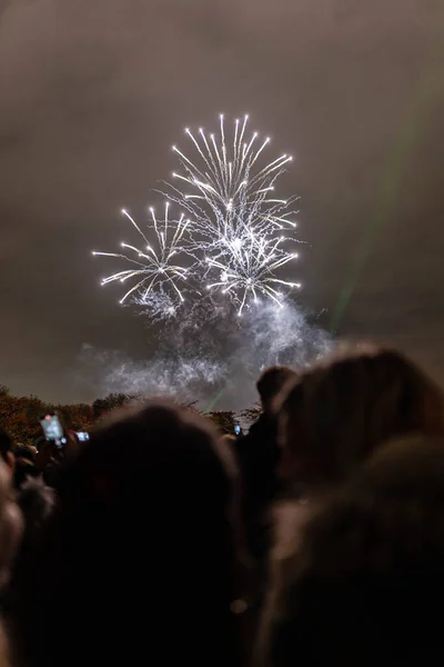 Photo Fireworks Witnessed People Gathered Park Celebrating New Years Eve — стоковое фото