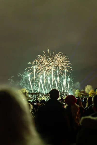 Photo Fireworks Witnessed People Gathered Park Celebrating New Years Eve — Fotografia de Stock